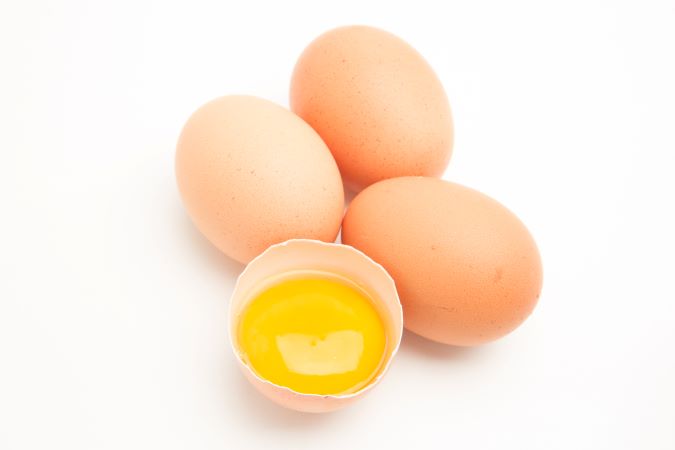 【運動耐力】蛋殼膜 Eggshell membrane